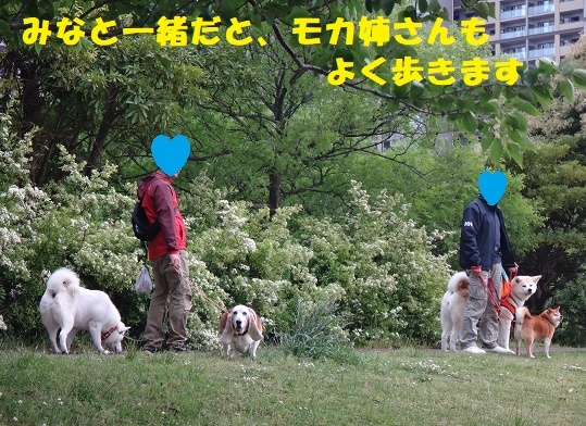 f0121712_01185876.jpg