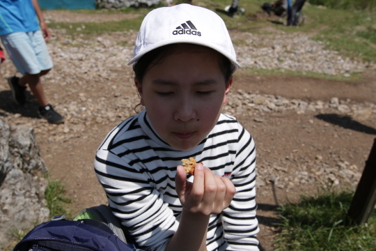 e0064313_17074335.jpg