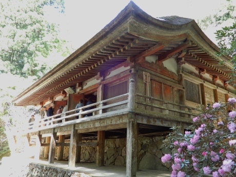 石楠花のみ寺（a temple on a mountain with rhododendrons）_a0332314_18220543.jpg