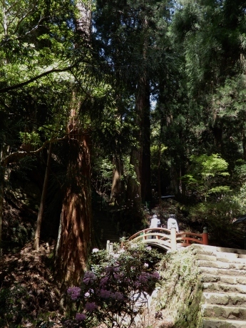 石楠花のみ寺（a temple on a mountain with rhododendrons）_a0332314_18253886.jpg