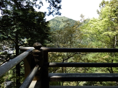 石楠花のみ寺（a temple on a mountain with rhododendrons）_a0332314_18281922.jpg