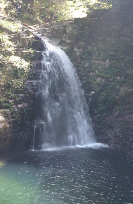 f0354314_23344674.png
