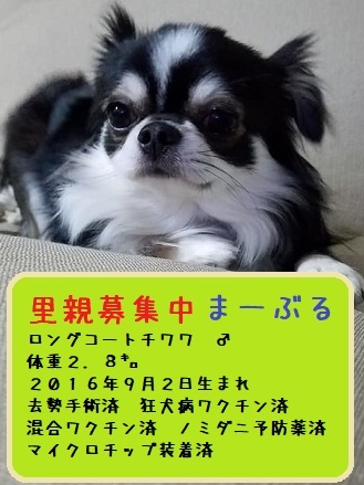 f0343323_22041302.jpg