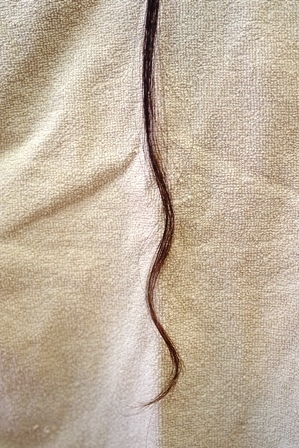 c0109726_11033356.jpg