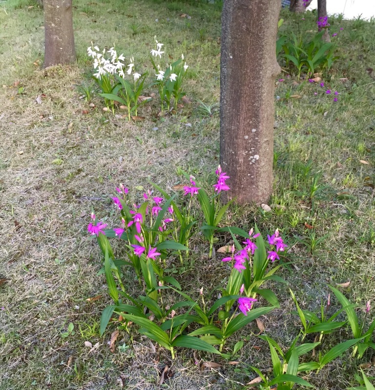 f0229926_12241539.jpeg