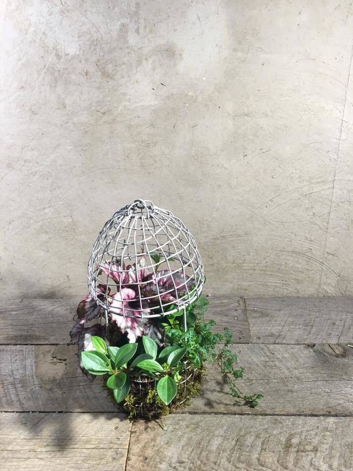 一部ギフト画像。_c0102228_12044423.jpg