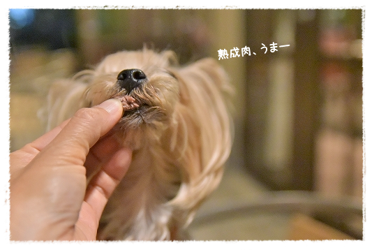 d0179828_19501226.png