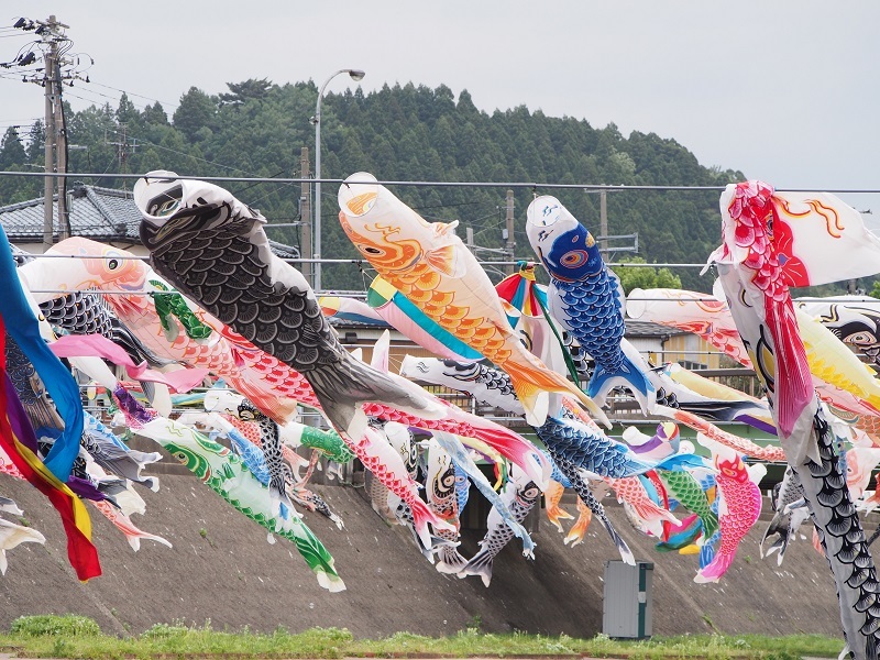 新緑の緑が爽やかな加茂山公園にて_b0368629_14185639.jpg