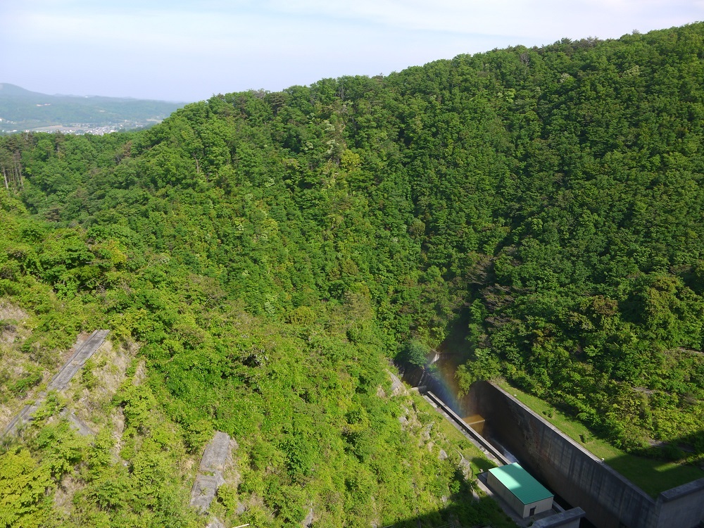 e0137130_22543217.jpg
