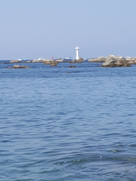 d0269832_13114707.jpeg