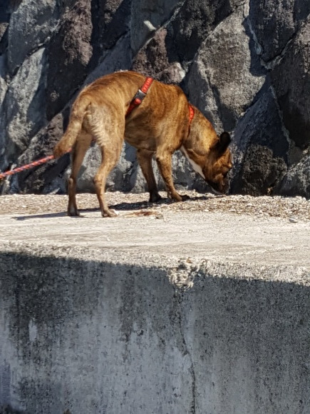 d0269832_13122188.jpeg