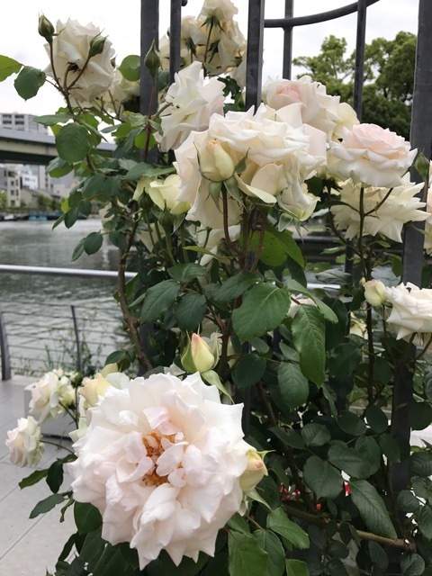 f0028132_19103685.jpg