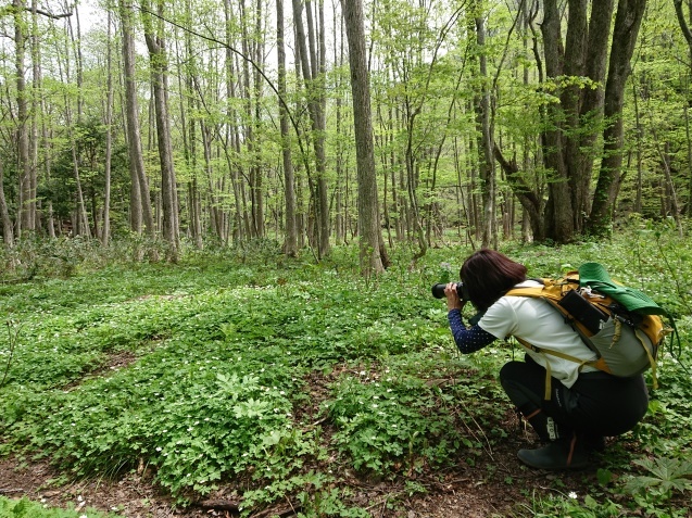 f0118332_22420997.jpg