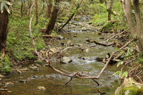 a0345833_16092605.jpg