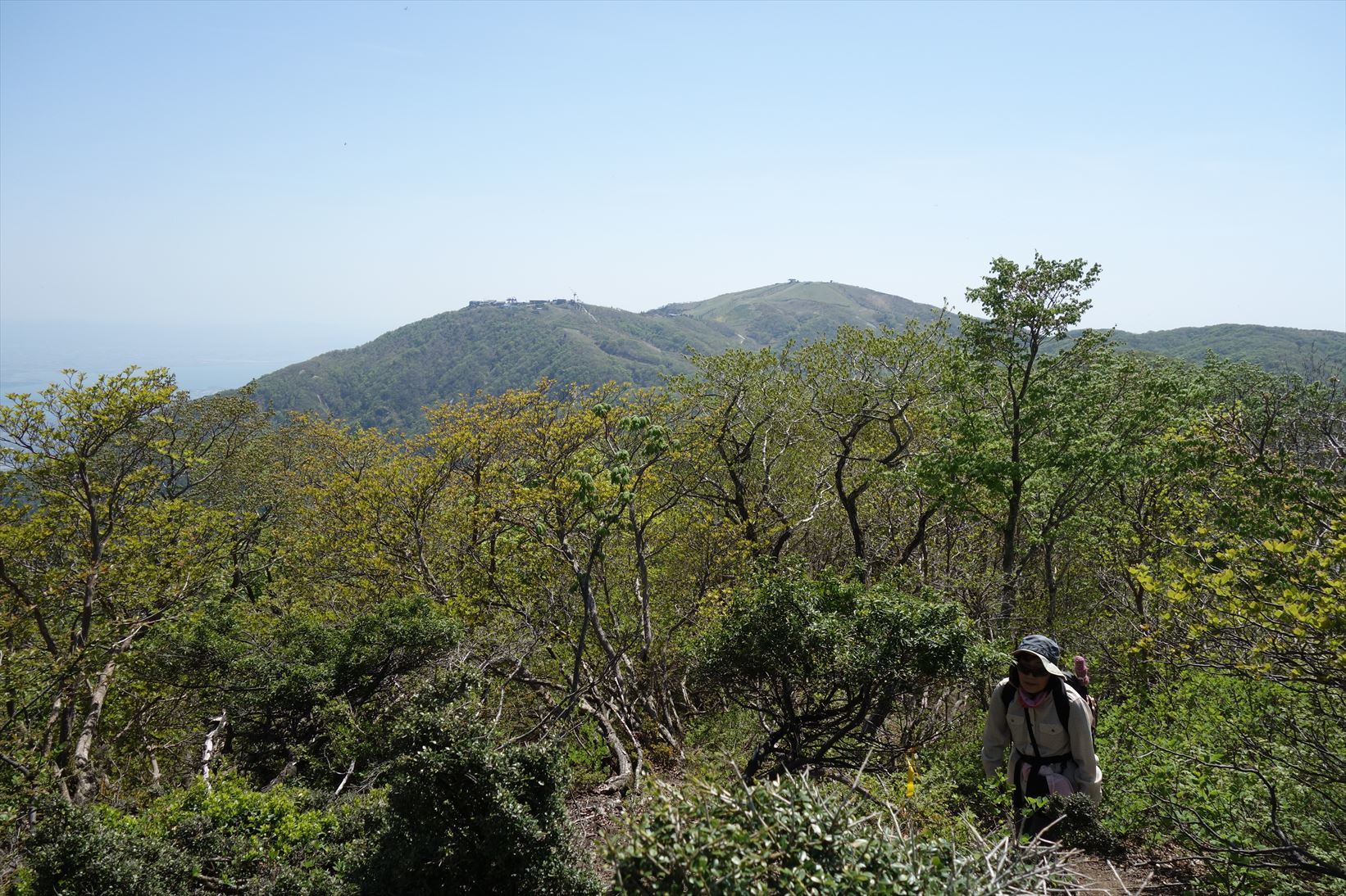 △　新緑と石楠花　堂満岳~比良岳縦走　△_f0348933_10233822.jpg