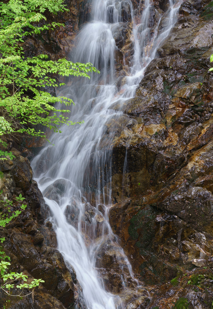 f0237034_21330811.jpg