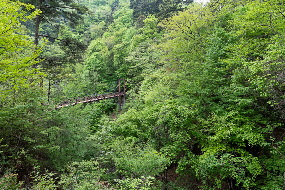 f0237034_21330941.jpg