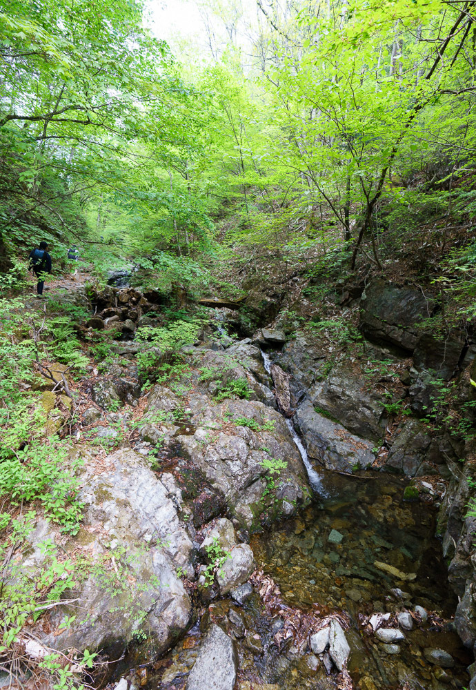 f0237034_21333046.jpg