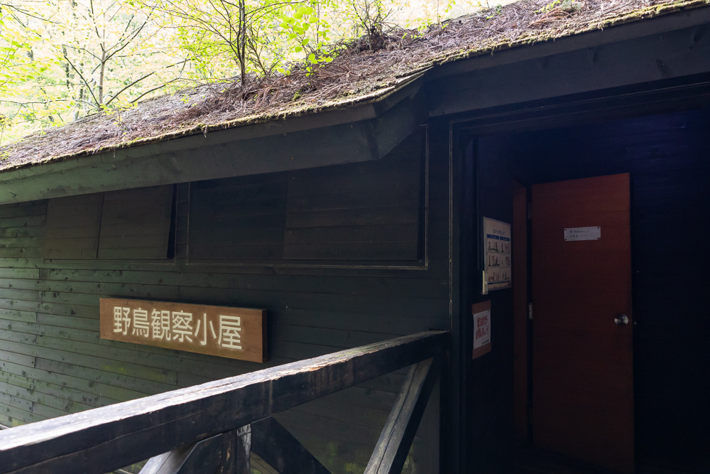 f0237034_21334430.jpg