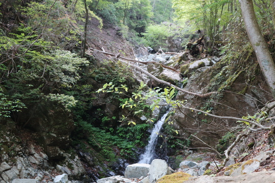e0272335_15204481.jpg