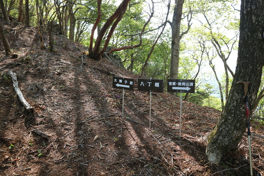 e0272335_15303884.jpg