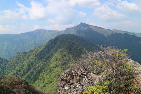 e0272335_1544480.jpg