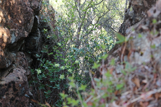 e0272335_154814.jpg