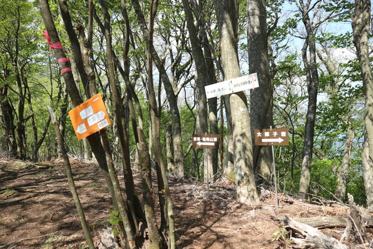 e0272335_161215.jpg
