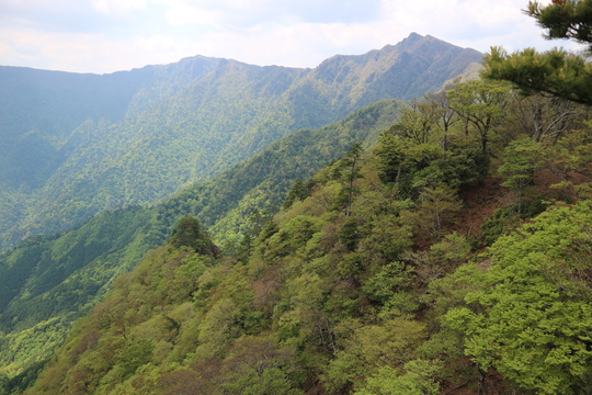 e0272335_17264551.jpg