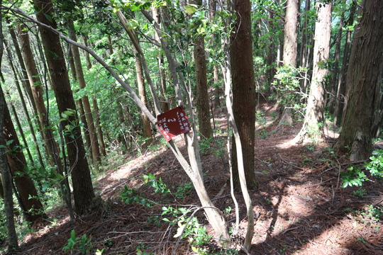 e0272335_1743549.jpg