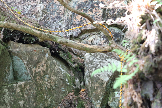 神掛岩からメンノツラ越ルートで祖母山に登る！_e0272335_2211546.jpg