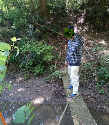 f0042637_12284613.png