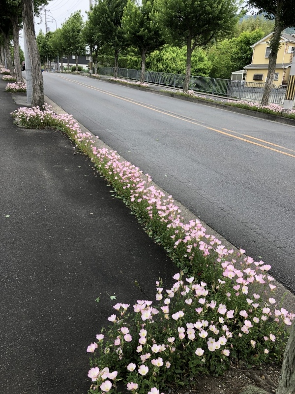 d0282139_17122497.jpeg