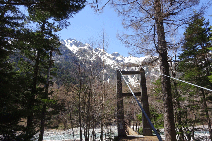 e0371039_1002618.gif