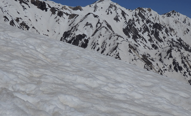 e0371039_2345888.gif