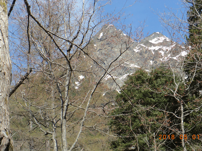 e0371039_9412926.gif