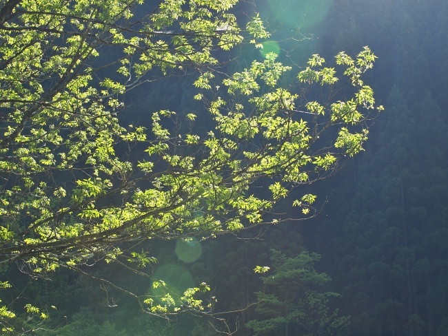 c0281841_13383745.jpg