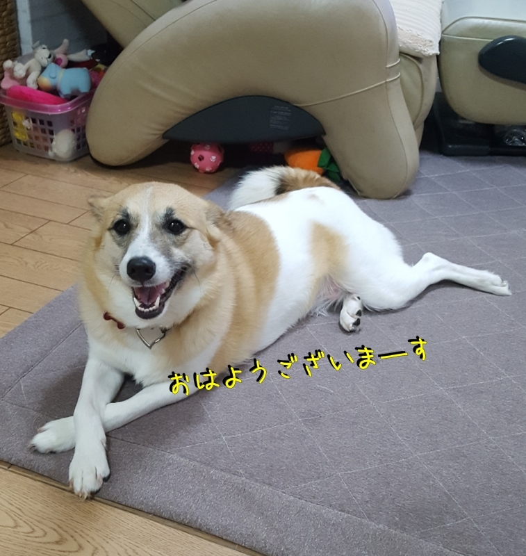 a0353444_15135165.jpg