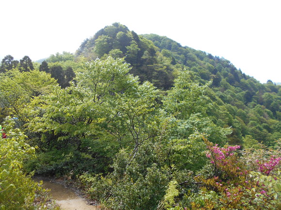 頭 連山 遭難 五