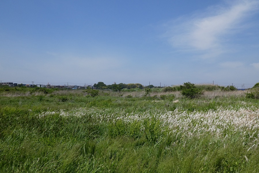 d0288144_23425228.jpg