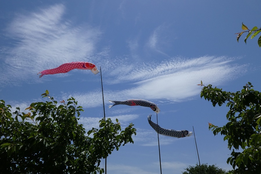 d0288144_23430989.jpg