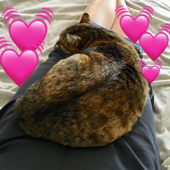 f0372445_07001680.jpeg
