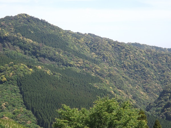 f0333346_09443535.jpg