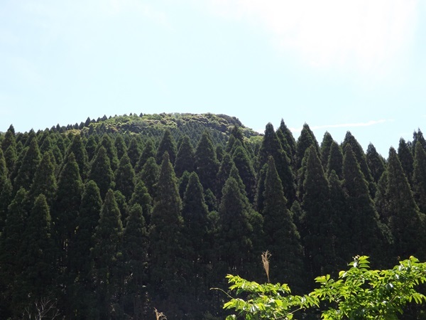 f0333346_09445694.jpg