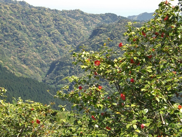 f0333346_09451052.jpg