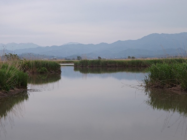 f0333346_20273991.jpg