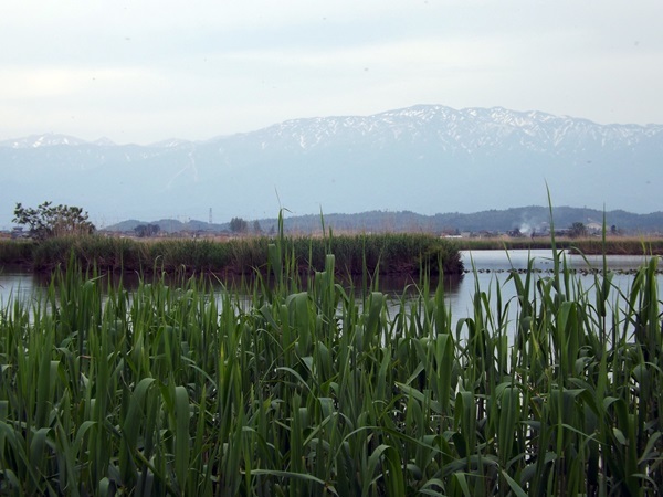 f0333346_20280015.jpg