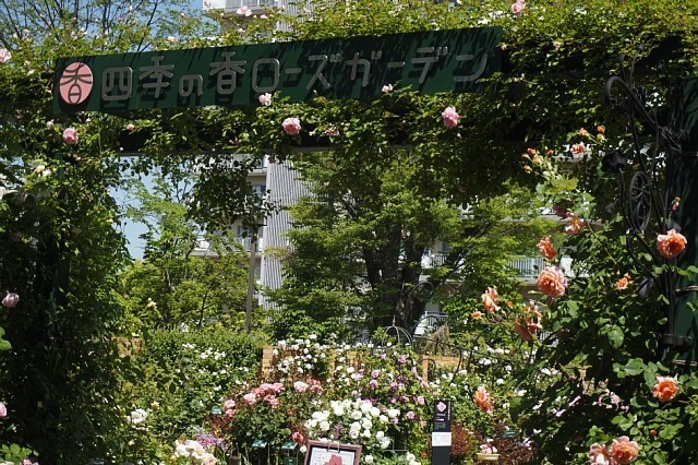 b0122448_08065215.jpg