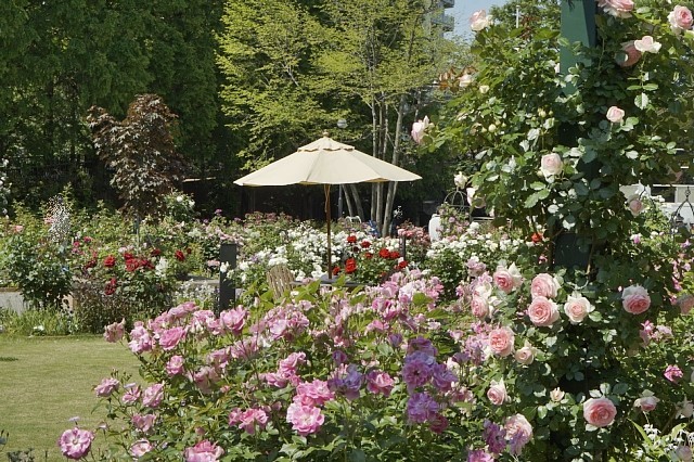 b0122448_08070160.jpg
