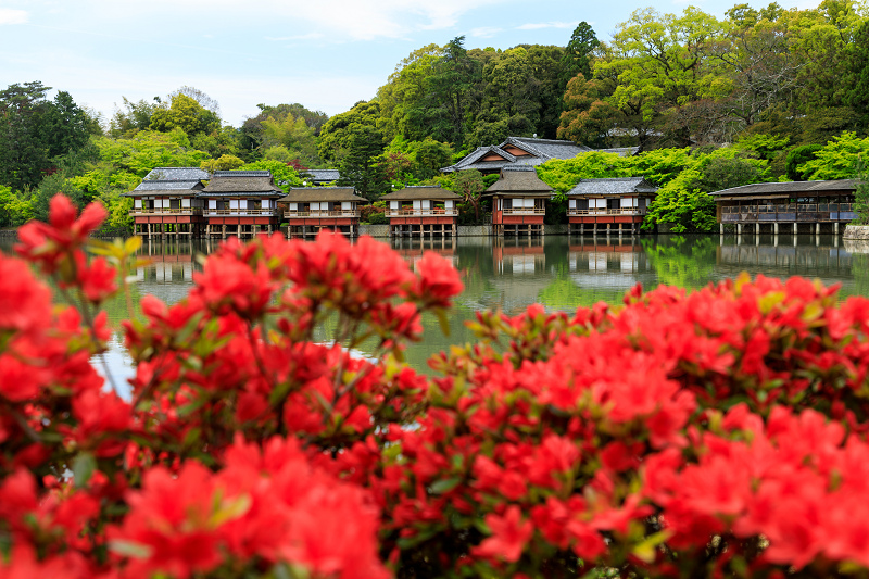 赤に染まる長岡天満宮_f0155048_110494.jpg